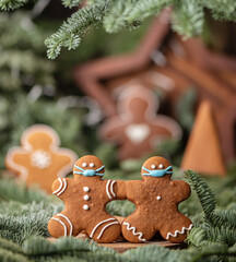 Christmas background with young christmas tree and cookies