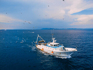 Top view of a fishing trawler coming back to the port and the seagulls following it.