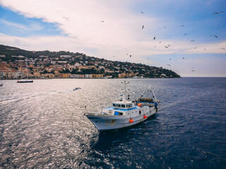 Top view of a fishing trawler coming back in the evening to the port and the seagulls following it.