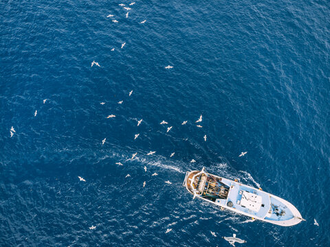 Top view of a fishing trawler coming back to the port and the seagulls are flying over it.