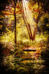 Beautiful autumn landscape with old stairs with moss and glowing sunlight