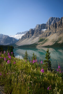 Scenic view of lake , flowers and mountain range on Icefield park highway, Alberta, Canada