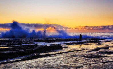 Sea whale wave splash line surfer