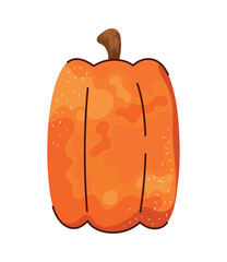 pumpkin vegetable autumnal