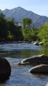 Vertical video of mountain river with forest and boulders