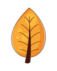 dry leaf autumn season