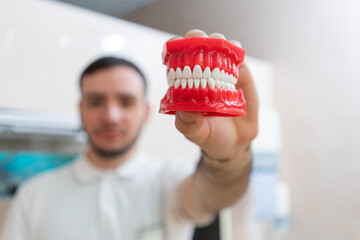 Fototapeta na wymiar presentation jaw in dentist hands