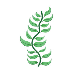 exotic branch with leafs