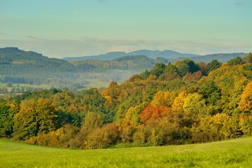 Autumn rural landscape with colorful tree leaves on background.