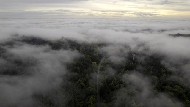 Aerial time lapse shot of a forest with a street in the middle on a foggy and cloudy morning