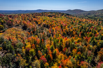 Autumn in New Hampshire 
New Ipswich, NH 