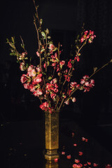 pink japanese quince flower branches in brass vase with dark background