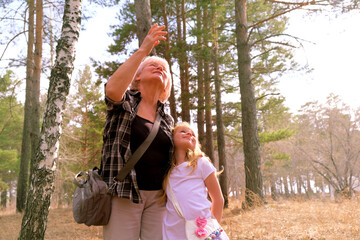 Grandmother and granddaughter walking hand in hand in the forest, bird watching