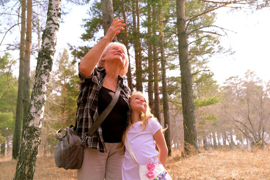 Grandmother And Granddaughter Walking Hand In Hand In The Forest, Bird Watching