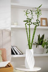 Vase with green bamboo stems on table in bedroom
