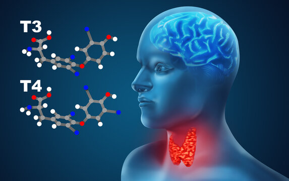 Illustration of human with inflamed thyroid gland on color background
