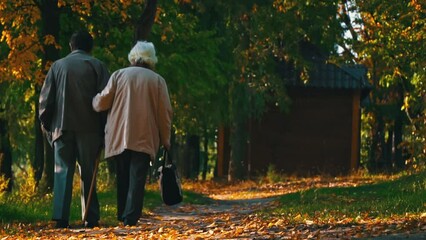 Elderly couple is gray haired wife and husband in elegant outerwear walk in fall. A romantic walk in the park from behind. Autumn day. Elderly people go by the hand.