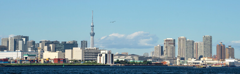 Fototapeta premium 東京湾にスカイツリーとビル群／青空のコピースペース／日本東京都
