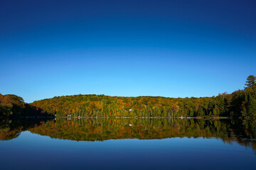 A vibrant blue sky is reflected in a still lake as the fall colours begin to reveal themselves in the distant forest.