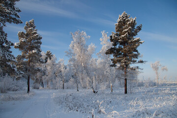 cold, winter, yakutia, a lot of snow