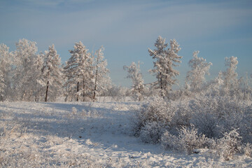 cold, winter, yakutia, a lot of snow
