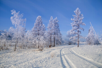 cold, winter, yakutia, a lot of snow
