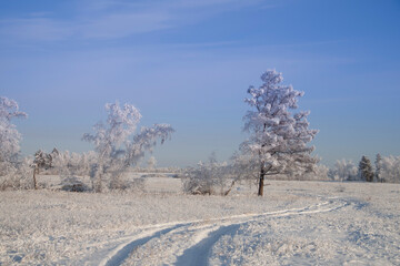 cold, winter, yakutia, a lot of snow