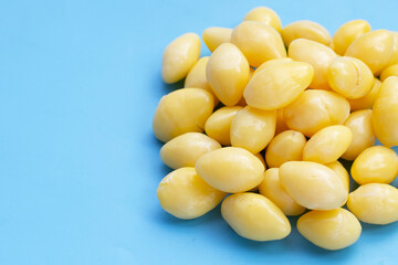Boiled ginkgo nuts on blue background.