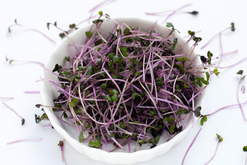 Organic red cabbage sprouts on white background.