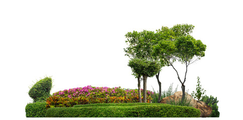 Colorful shrubs, ornamental plants, gardens or parks. isolated on transparent background cut path.