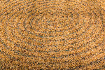 Kona Coffee Beans Drying In The Sun, Holualoa, Hawaii Island, Hawaii, USA