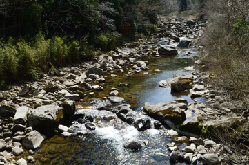 Naklejka na ściany i meble Clear stream flowing in the mountains
