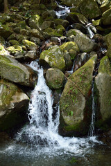 Clear stream flowing in the mountains