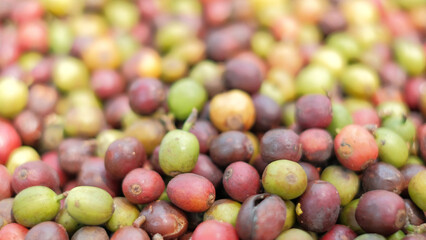 Closeup and crop raw coffee beans and blurred background.