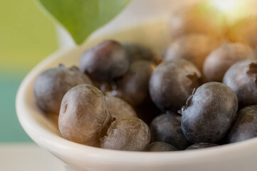 Fresh Blueberries