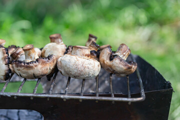 grilled champignons in a clearing, on a blurred background