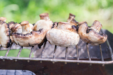 grilled mushrooms in nature, close-up