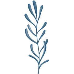 Watercolor Flower Illustrations