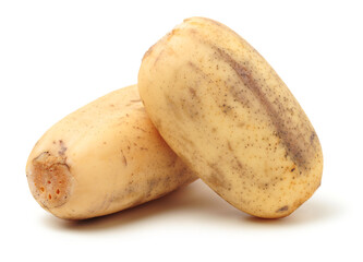Lotus root on the white background
