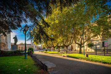 naturaleza en la estacion de otoño hojas secas  amarillas y marrones
