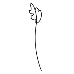 Flower Line Art