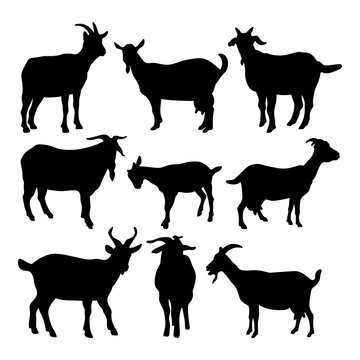 Goat set, stencil template isolated, silhouette for cutting programs