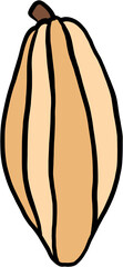 doodle freehand sketch drawing of cacao fruit.