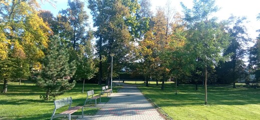 park in the morning