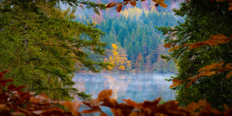 Herbstfarben und Nebel an See und Wald