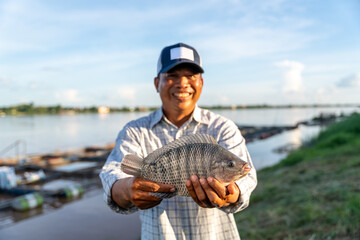 Asian Fisherman holding big tilapia fish, freshwater fish that was raised in ponds and cages....