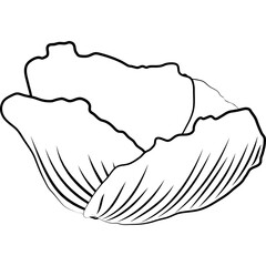 contour elements of flowers and plants