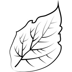 contour elements of flowers and plants