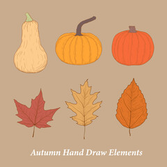 happy thanksgiving greeting elements with pumpkins, butternut squash, maple leaves or leaf Vector illustration for Thanksgiving autumn, harvest festival. Template for poster, banner, cards