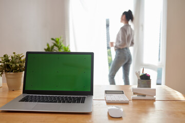Laptop with blank green screen on workplace of software developer